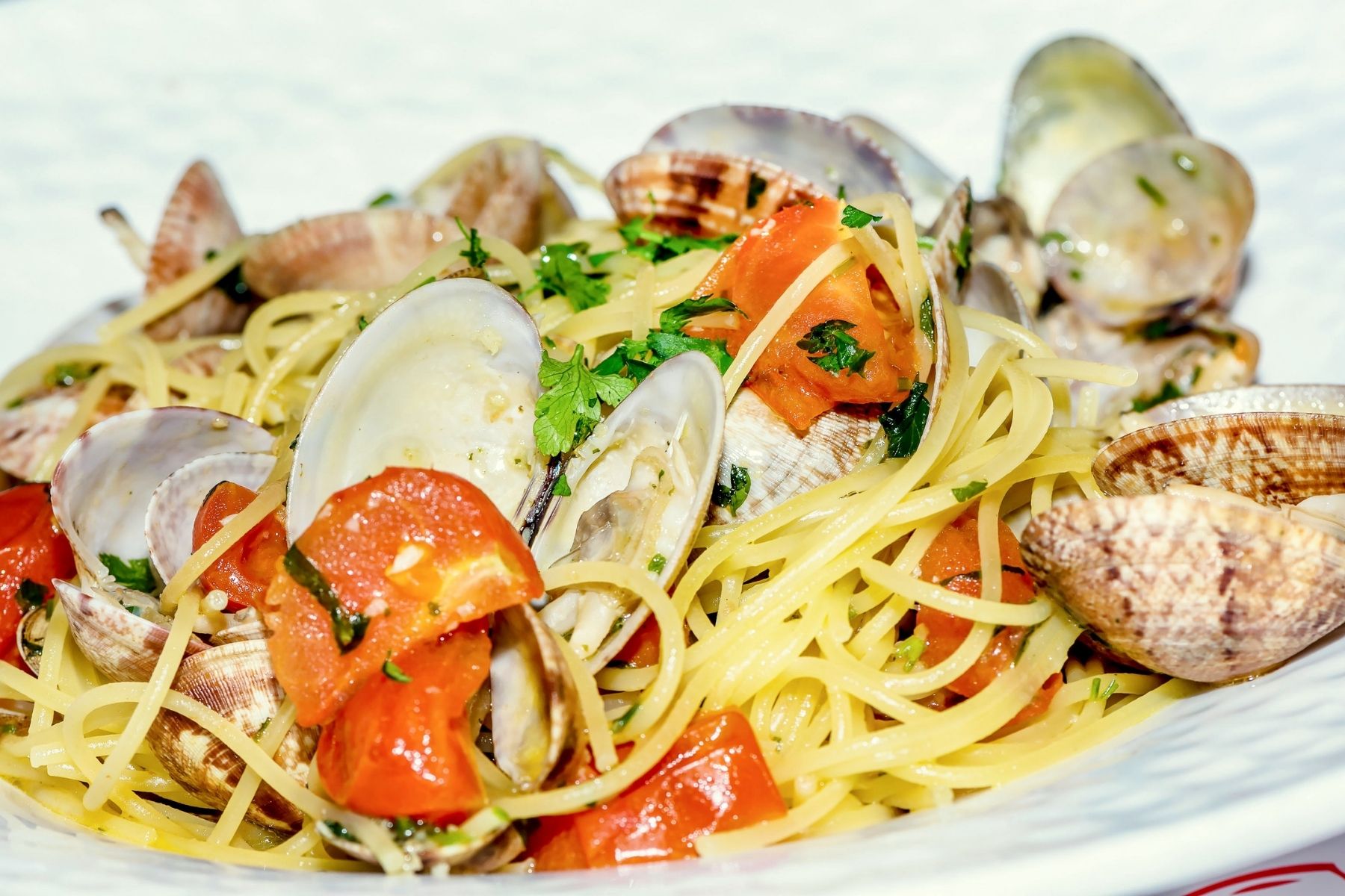 Spaghetti with Clams and Tomatoes Recipe FeeDo