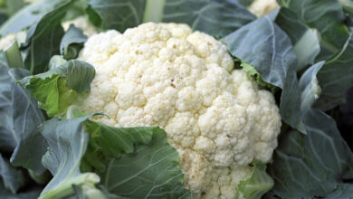 Cauliflower: Health Benefits And Side Effects