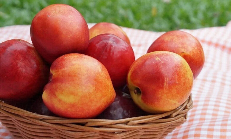 Nectarines: Health Benefits And Side Effects