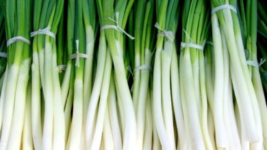 Green Onions: Health Benefits And Harms